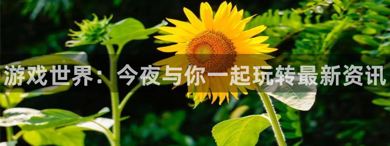 星欧娱乐平台登录：游戏世界：今夜与你一起玩转最新资讯