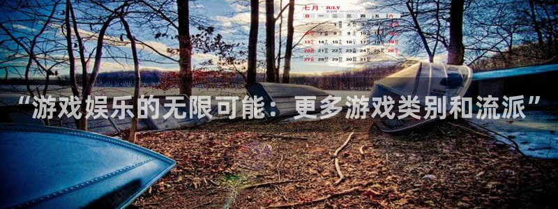 星欧娱乐4主管：“游戏娱乐的无限可能：更多游戏类别和流派”