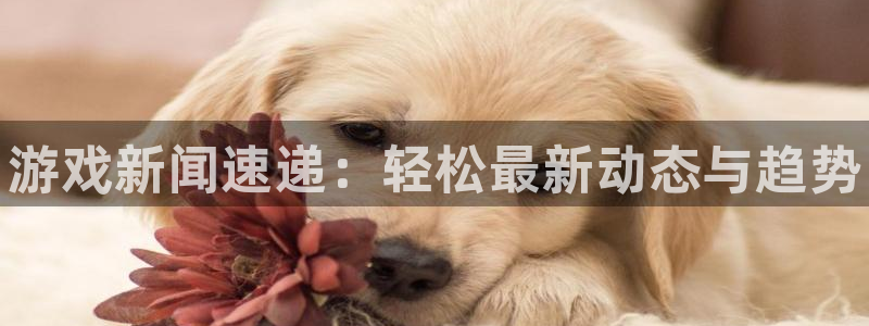 星欧娱乐注册开户：游戏新闻速递：轻松最新动态与趋势