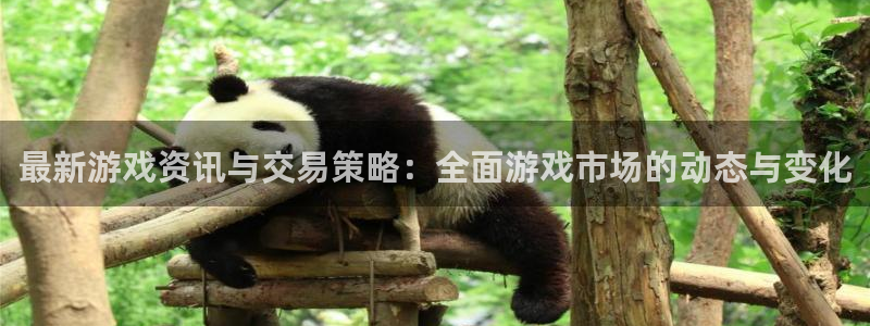 星欧娱乐手机网页版登录：最新游戏资讯与交易策略：全面游戏市场
