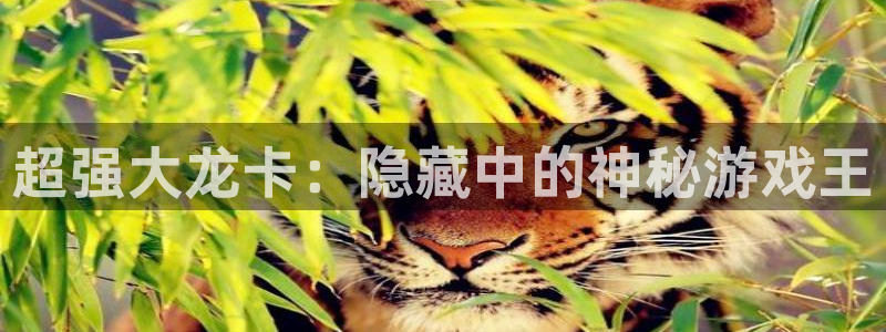 星欧娱乐集团：超强大龙卡：隐藏中的神秘游戏王