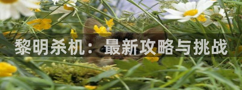 星欧娱乐下载链接：黎明杀机：最新攻略与挑战