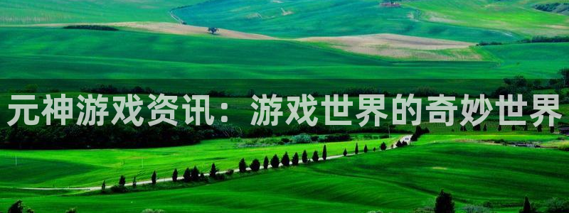 星欧娱乐娱乐：元神游戏资讯：游戏世界的奇妙世界