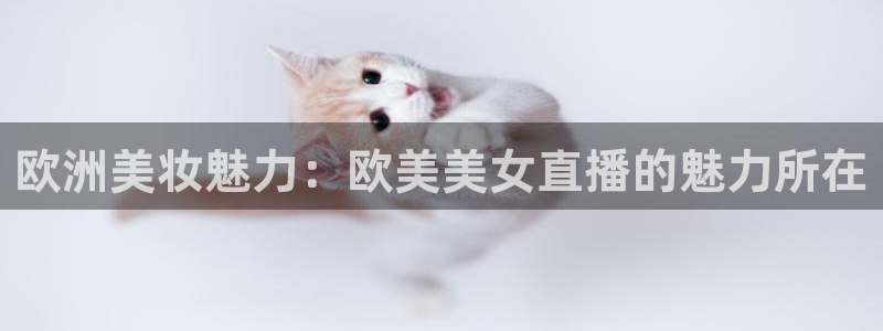 360足球直播雨燕