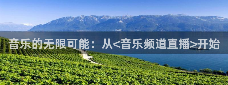 360足球直播吧在线观看高清：音乐的无限可能：从<音乐频道直播>开始