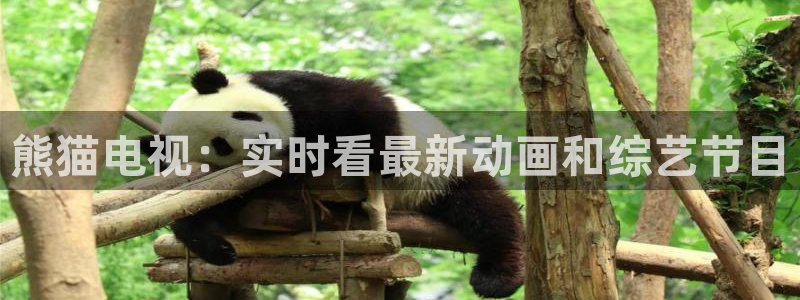 360体育直播网球：熊猫电视：实时看最新动画和综艺节目