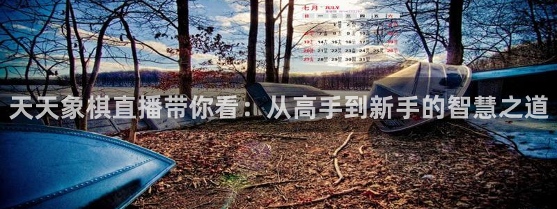 360体育直播无插件在线观看：天天象棋直播带你看：从高手到新手的智慧之道
