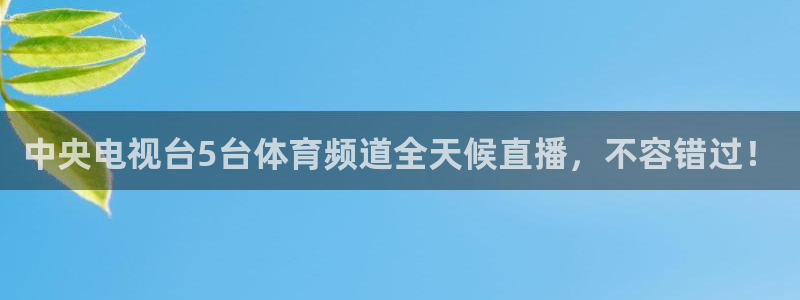 雨燕360体育最新更新内容：中央电视台5台体育频道全天候直播，不容错过！