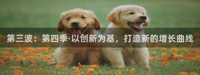 雨燕360体育免费观看赛事：第三波：第四季·以创新为基，打造新的增长曲线